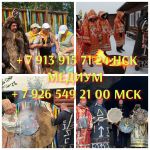 Любовный приворот Гадалка белая магия Расклад Таро от 128 ₽ за услугу   ЛИЧНЫЙ ПРИЕМ от 99 ₽
